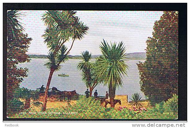 Rowing Boat Horse & Cart & Lake From Dinas Cottage Killarney Kerry Ireland Eire Postcard  - Ref A92 - Kerry