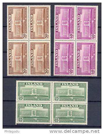 Islande 1938, 20° Anniversaire De L’Indépendance De L’Islande Cote 108 E ++ Blocs De 4 - Nuovi