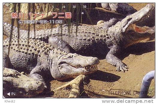 TC Japon Animal Reptile - CROCODILE / 290-8389 - KROKODIL Tier TK - Animals Phonecard - 09 - Coccodrilli E Alligatori