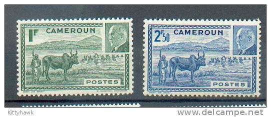 CAM 118 - YT 300-301 ** - Unused Stamps