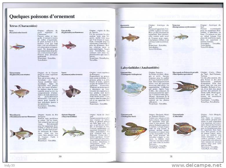 -  TOUT POUR L´AQUARIOPHILIE . EDITIONS TETRA - Otros & Sin Clasificación