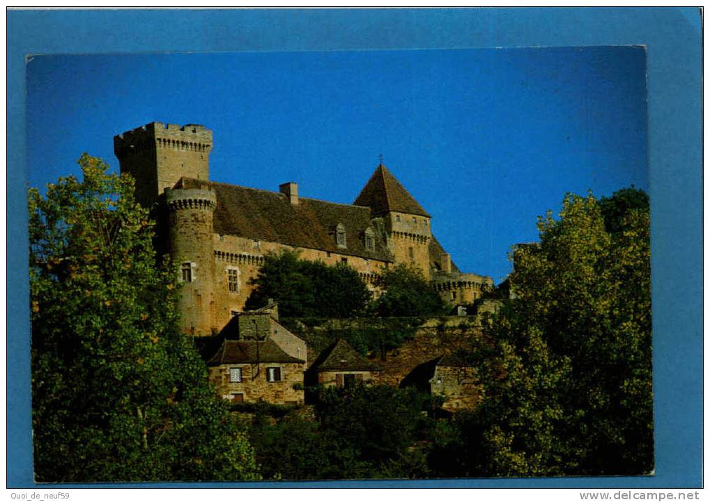 BG 4602 BRETENOUX CHATEAU DE CASTELNAU - Bretenoux