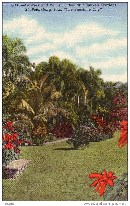 Floride - St. Petersburg - Jardin Garden Fleurs - C.T. Art S-113 - Toilée Linen - Neuve Mint - St Petersburg