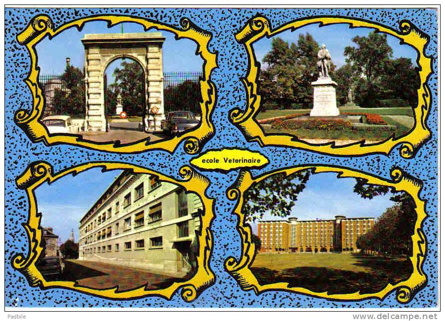 Carte Postale 94. Maisons-Alfort école Vétérinaire Trés Beau Plan - Maisons Alfort