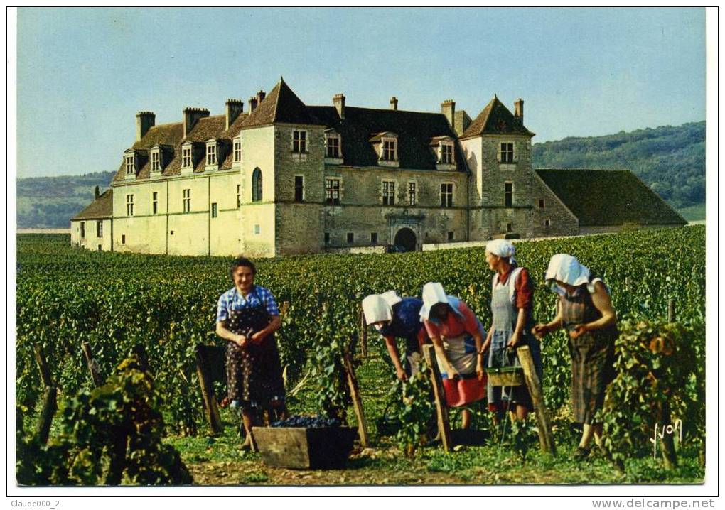 CHATEAU DU CLOS VOUGEOT .       TRES ANIMEE  (641) - Other & Unclassified