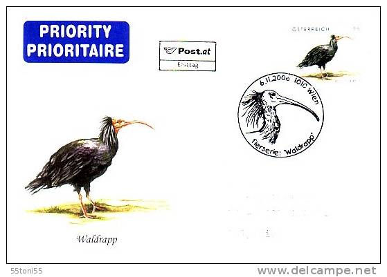 Austria 2006 Cover Northern Bald Ibis + Cache Special First Day (FDC) - Grues Et Gruiformes