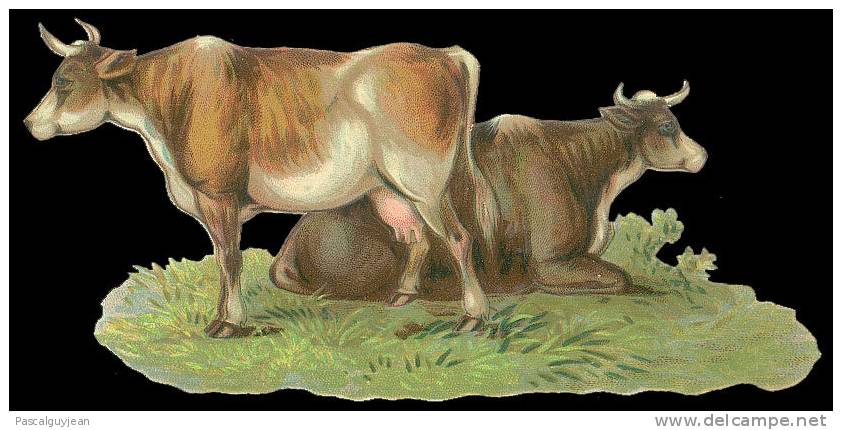 DECOUPI ANCIEN - 2 Vaches - DIE-CUT - Animales