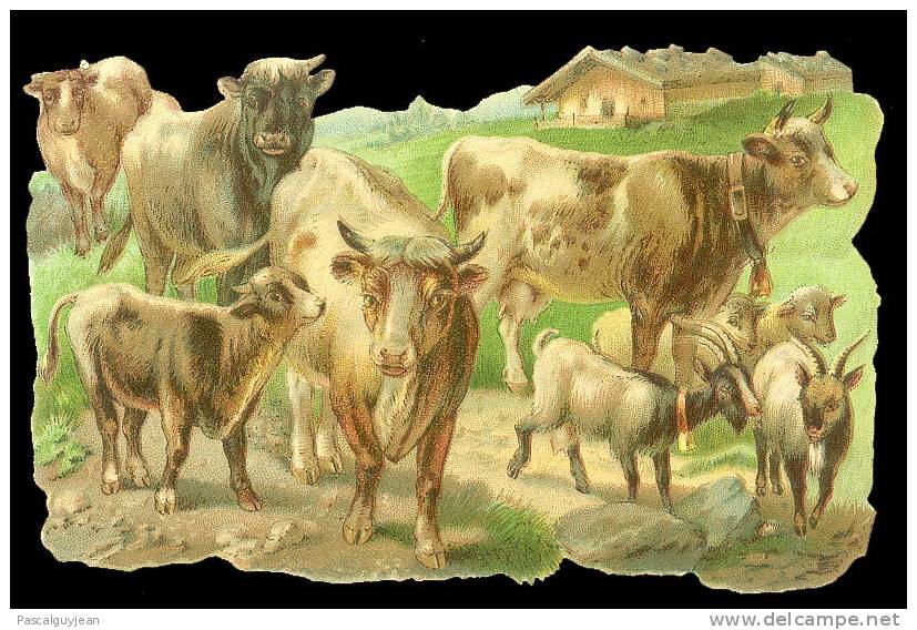 DECOUPI ANCIEN - Vaches, Veaux Et Chèvres - DIE-CUT - Tiere