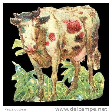 DECOUPI ANCIEN - Vache - DIE-CUT - Tiere