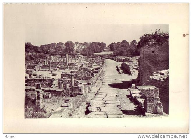 LE GLANUM - Saint-Remy-de-Provence