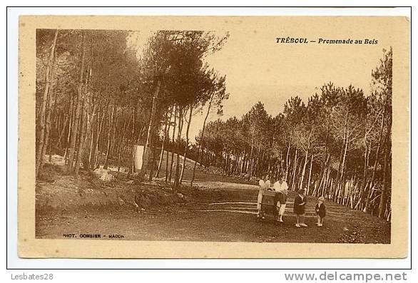 CPA 29.-TREBOUL.-Promenade Au Bois.-animé.-CVB 031 - Tréboul