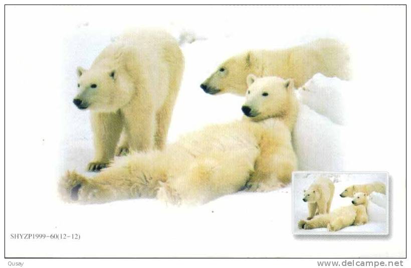 Polar Bear ,   Pre-stamped Card , Postal Stationery - Ours