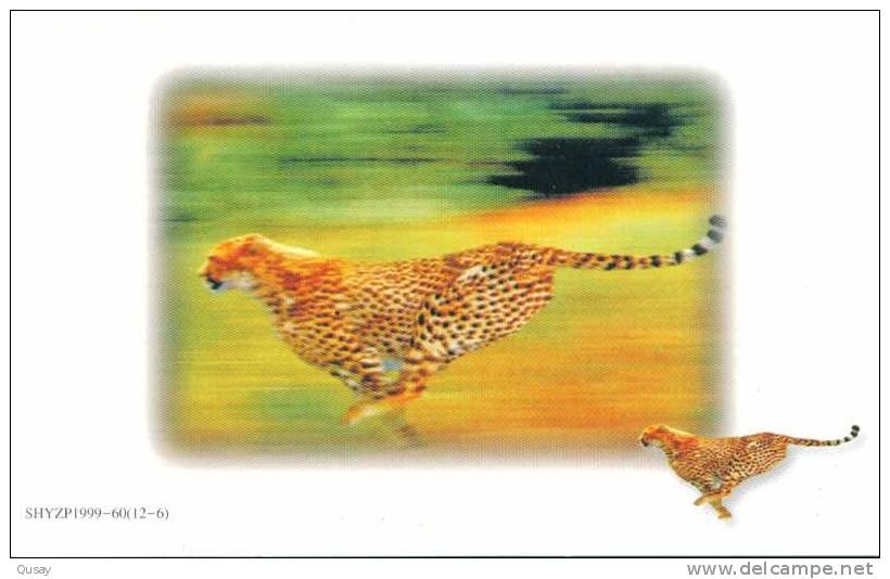 Leopard  ,   Pre-stamped Card , Postal Stationery - Rhinoceros