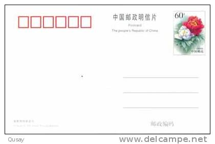 Leopard  ,   Pre-stamped Card , Postal Stationery - Rhinocéros