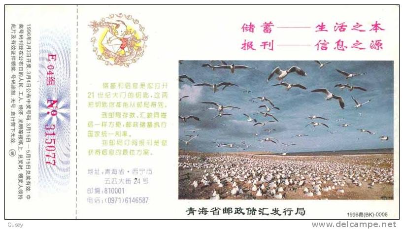 Seagull Bird ,  Pre-stamped Card , Postal Stationery - Möwen