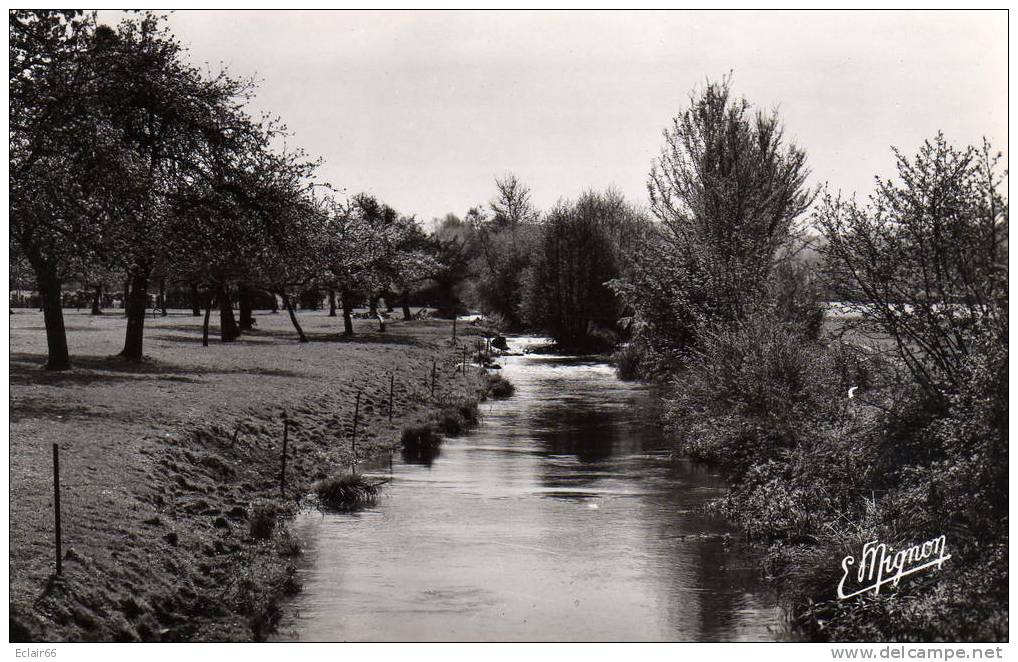 76 Blangy Sur Bresle Le Cour D'eau La BRESLE  La Traversée Des Paturages Et Les Pommiers Edit De Luxe E MIGNON - Blangy-sur-Bresle