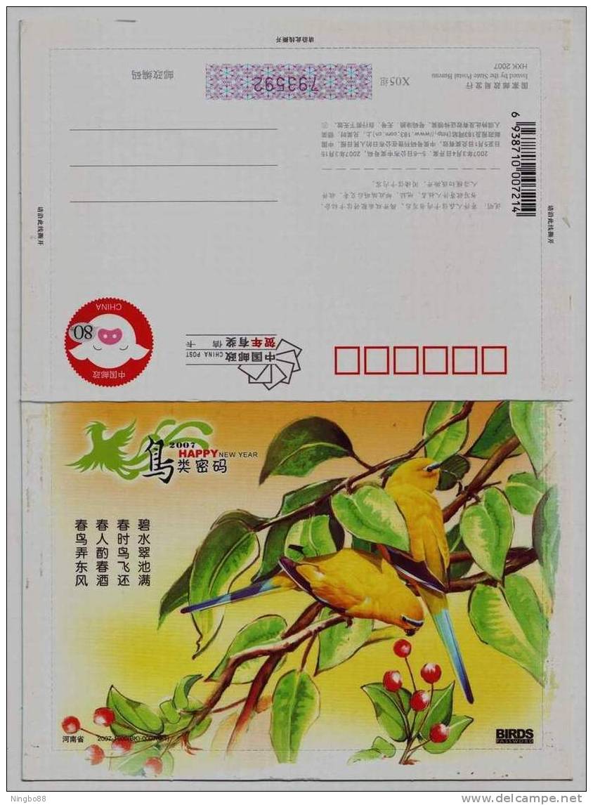 Bird Password,Rare Parrot Bird,China 2007 Henan New Year Greeting Pre-stamped Letter Card - Papagayos