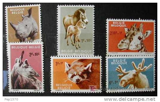 BELGICA 1961 FAUNA DEL ZOO DE AMBERES - YVERT 1182/87 - Giraffen