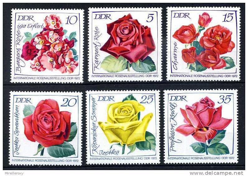 FLEUR / ROSE / FLOWERS  / ALLEMAGNE D.D.R. / GERMANY - Roses