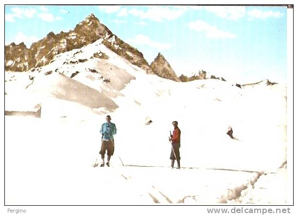 01/FG/08 - ALPINISMO: VALLE PO (CUNEO) - Gruppo Del Monviso Con Sciatori Alpinisti - Alpinisme