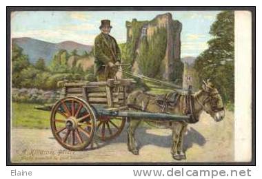 "A Killarney Motor' Man On Donkey Cart - Kerry