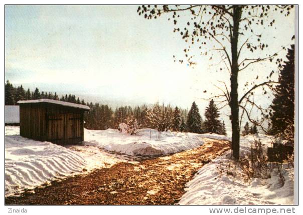 CARTE POSTALE DES ROUSSES - ROUTE DES ROUSSES - PREMIERE NEIGE SUR LE HAUT-JURA - Sonstige & Ohne Zuordnung