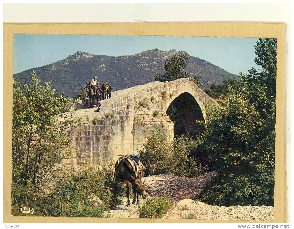 Corse - Environs De Srtène - Pont Genois - Anes - CPM Non Voyagé - Ed La Cigogne N° 20.000.77 - Sartene