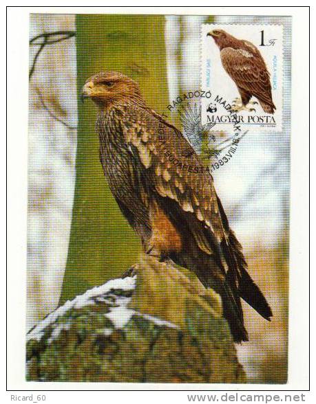 Carte Postale 1er Jour De Hongrie Wwf  Rapaces - Maximum Cards & Covers