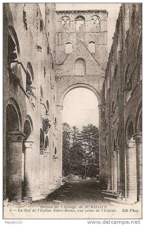 76 - Ruines De L'Abbaye De Jumièges - La Nef De L'Eglise Notre-Dame, Vue Prise De L'Entrée - ND  (non Circulée) - Jumieges