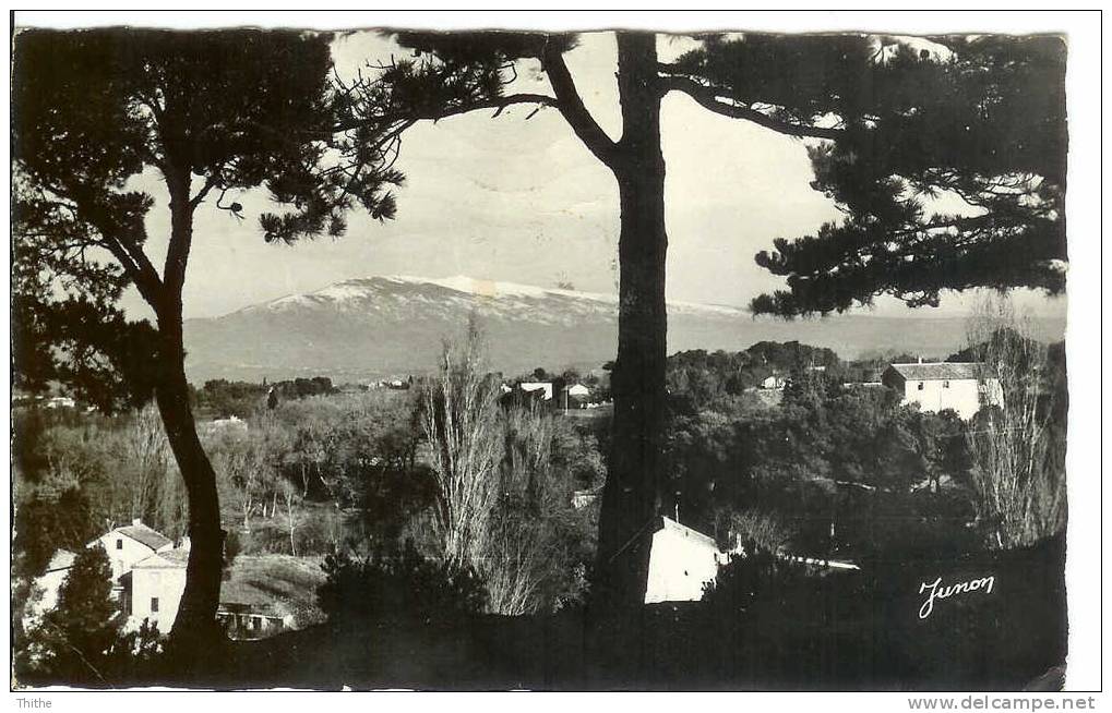 CARPENTRAS Vue Sur Le Mont-Ventoux - Carpentras