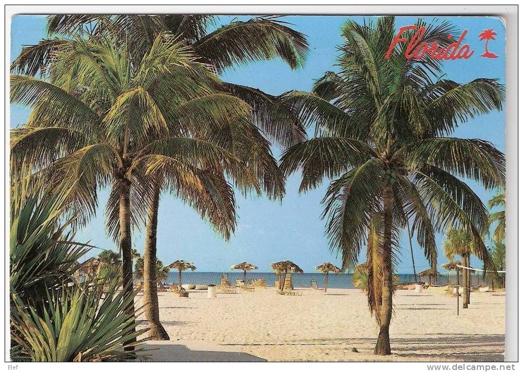 Florida, USA : "A Tropical Paradise" ; West Palm Beach ; Filet De Volley-ball  ; 1989 ; TB - Tampa