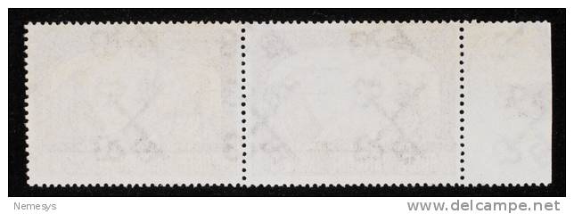 1966 CONVERSIONE POLONIA COPPIA USATA 220L. (SASS438) - Used Stamps