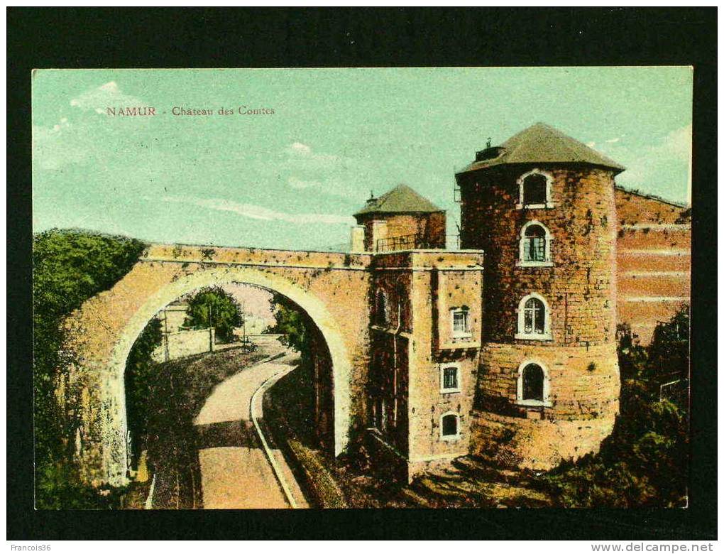 NAMUR - Château Des Comtes - - Namur