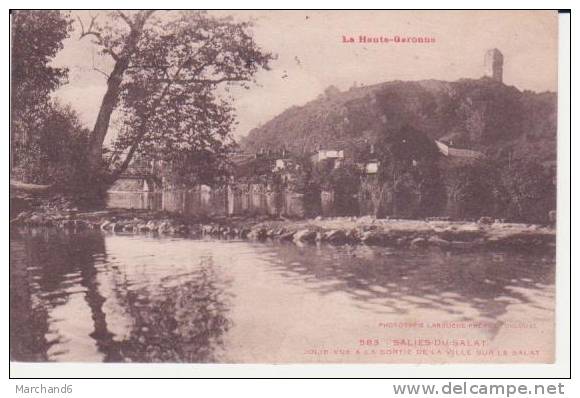 HAUTE GARONNE . SALIES DU SALAT . JOLIE VUE A LA SORTIE DE LA VILLE SUR LE SALAT - Salies-du-Salat