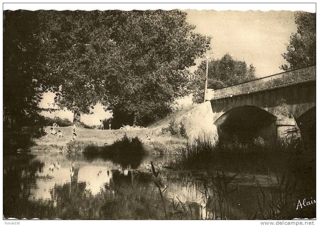 CP 18 MASSAY Les Bords De L´arnon Au Pont De Dady - Massay