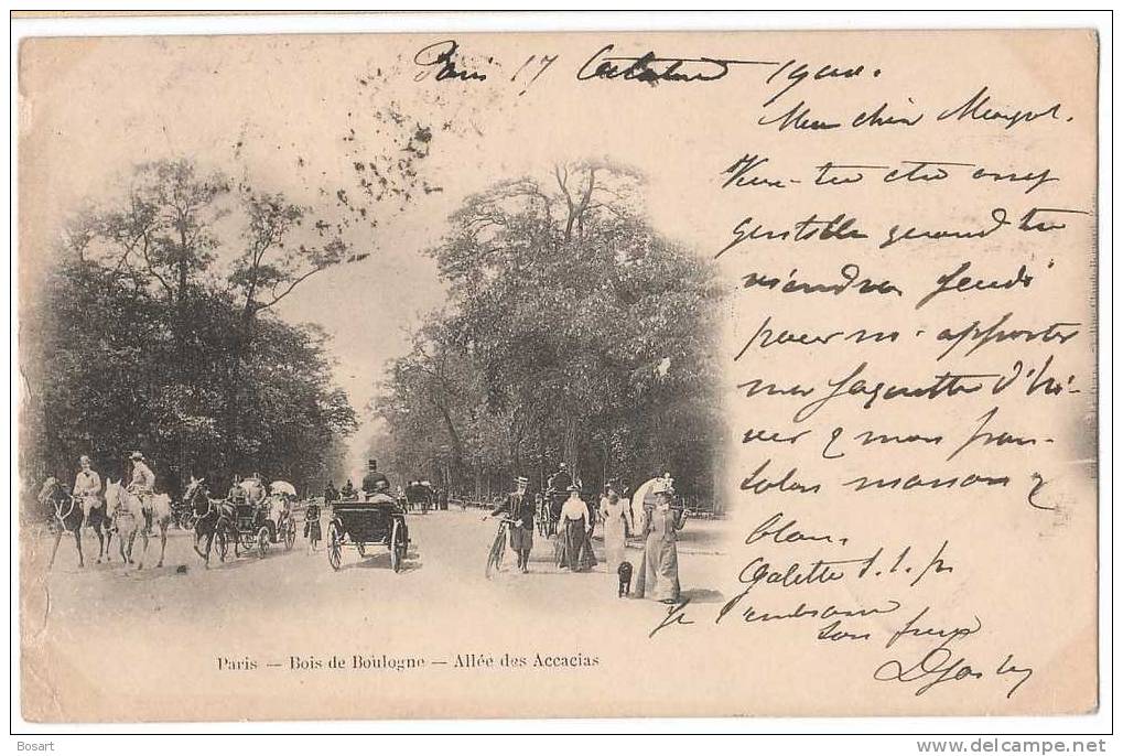 CPA France 75017.Paris-Bois De Boulogne-Allée Des Accacias - District 17