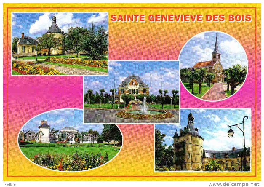 Carte Postale 91. Sainte-Geneviève-des-Bois  Trés  Beau Plan - Sainte Genevieve Des Bois