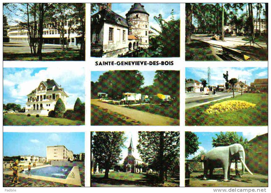 Carte Postale 91. Sainte-Geneviève-des-Bois  Trés  Beau Plan - Sainte Genevieve Des Bois