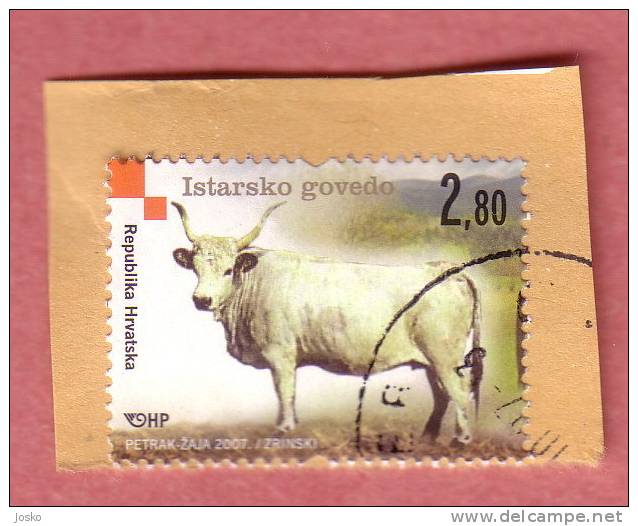 ISTRIAN OX Croatian Autochthonous Breeds (Croatia Stamp On Paper) Cattle Cow Cows Vache Vaches Kuhe Vacuno Buey Bue Toro - Mucche