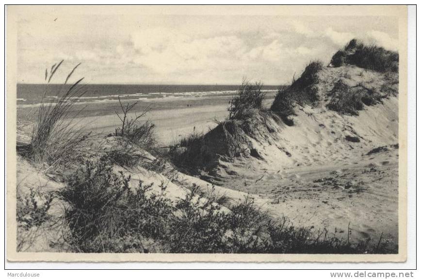 Wenduine. Zee En Zand. Duinen. La Dune, Ourlet De La Mer. - Wenduine