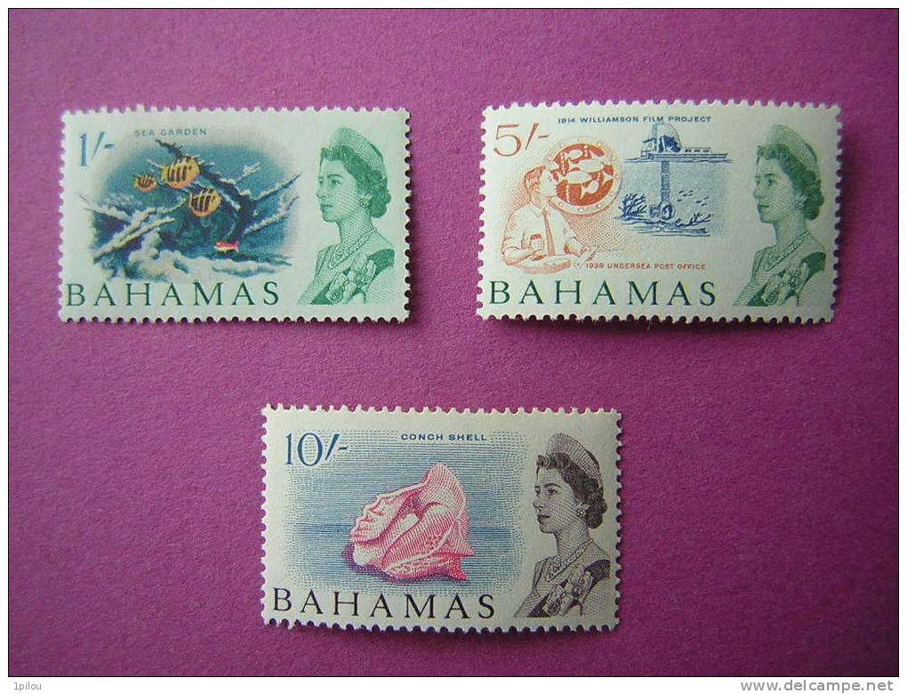 BAHAMAS. RESSOURCES DE LA MER. - Bahamas (1973-...)