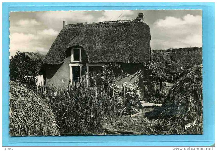 B - 44 - SAINT JOACHIM - N° 2020 Chaumiére De L'ile Fédrun - Saint-Joachim