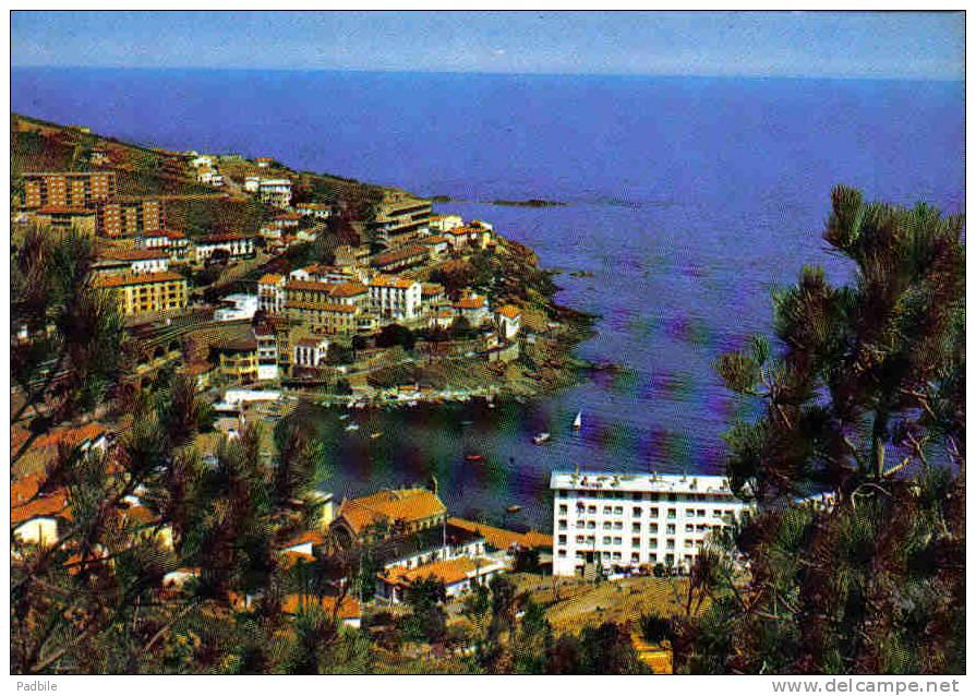 Carte Postale 66.  Cerbere  Frontière Franco-Espagnole  Trés Beau Plan - Cerbere