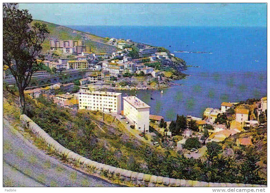 Carte Postale 66.  Cerbere  Frontière Franco-Espagnole  Trés Beau Plan - Cerbere