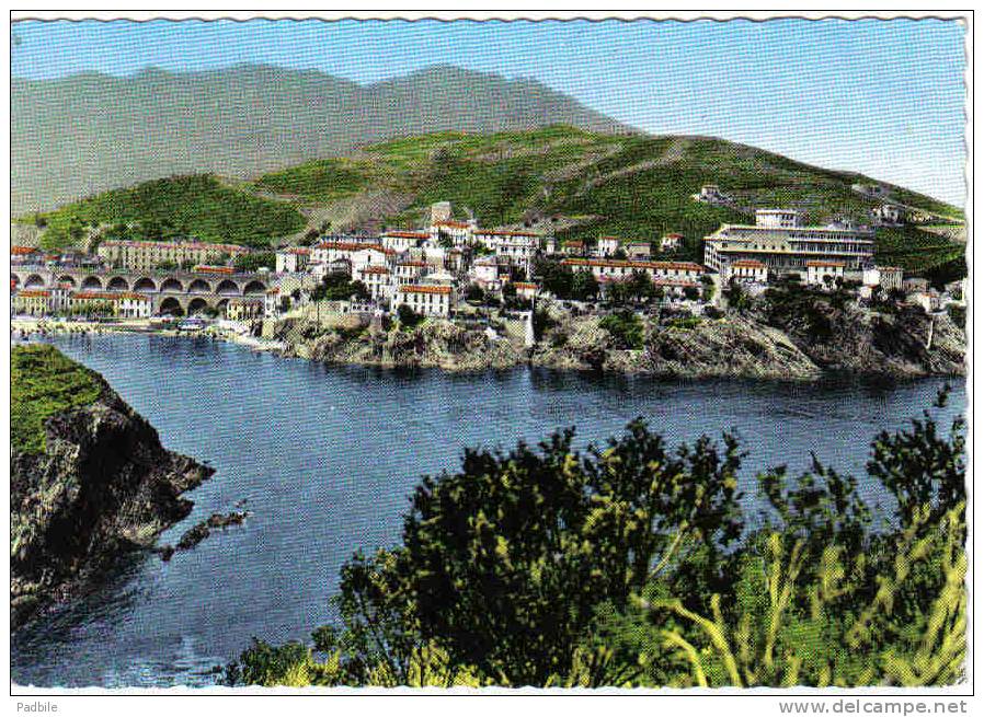 Carte Postale 66.  Cerbere  Frontière Franco-Espagnole  Trés Beau Plan - Cerbere