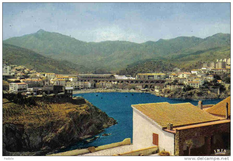 Carte Postale 66.  Cerbere  Frontière Franco-Espagnole  Trés Beau Plan - Cerbere