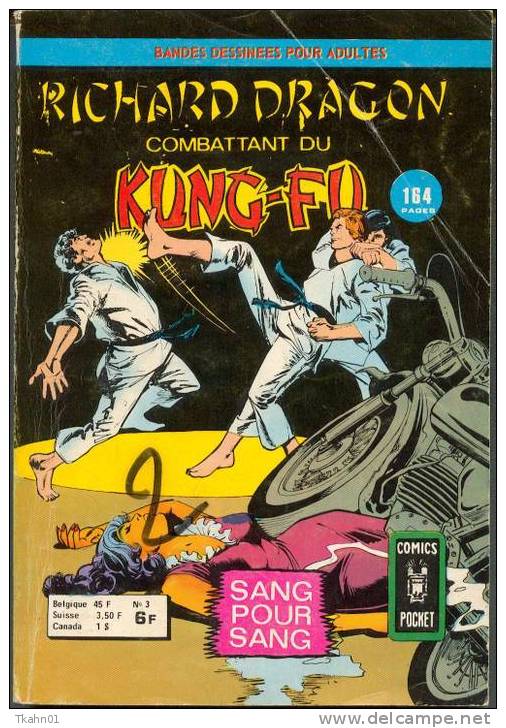 RICHARD-DRAGON  N° 3 " COMICS-POCKET " ARTIMA DE 1976 - Arédit & Artima