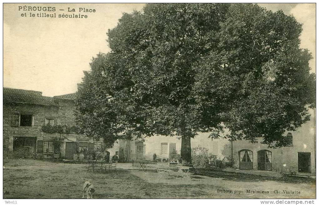 La Place Et Le Tilleul Séculaire - Pérouges