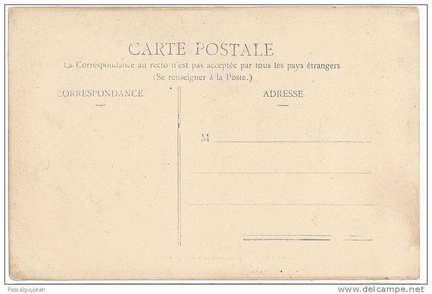 PATURAGE EN FRANCHE COMTE - VACHES - Franche-Comté