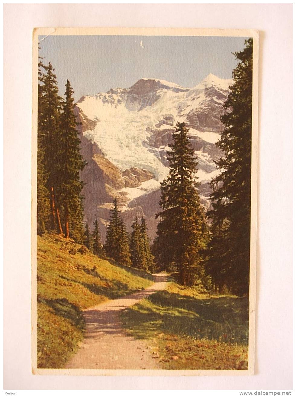 WENGEN - Mettlenalp -Jungfrau    BE- CH 1930´s   F D21336 - Wengen